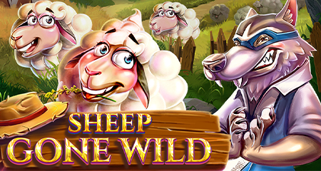 Sheep Gone Wild