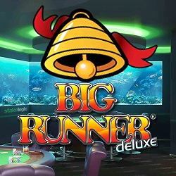 Big Runner Deluxe