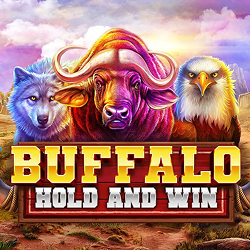 Buffalo Hold and Win