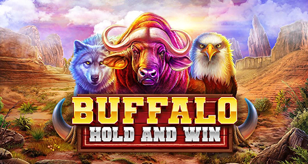Buffalo Hold and Win