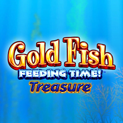 Gold Fish Feeding Time