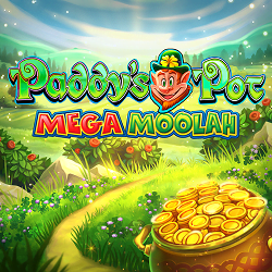 Paddy’s Pot: Mega Moolah