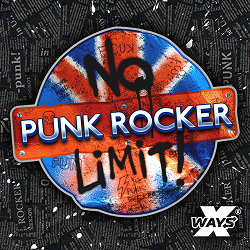 Punk Rocker