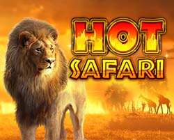 Hot Safari slot