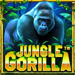 Jungle Gorilla