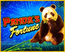 Pandas Fortune